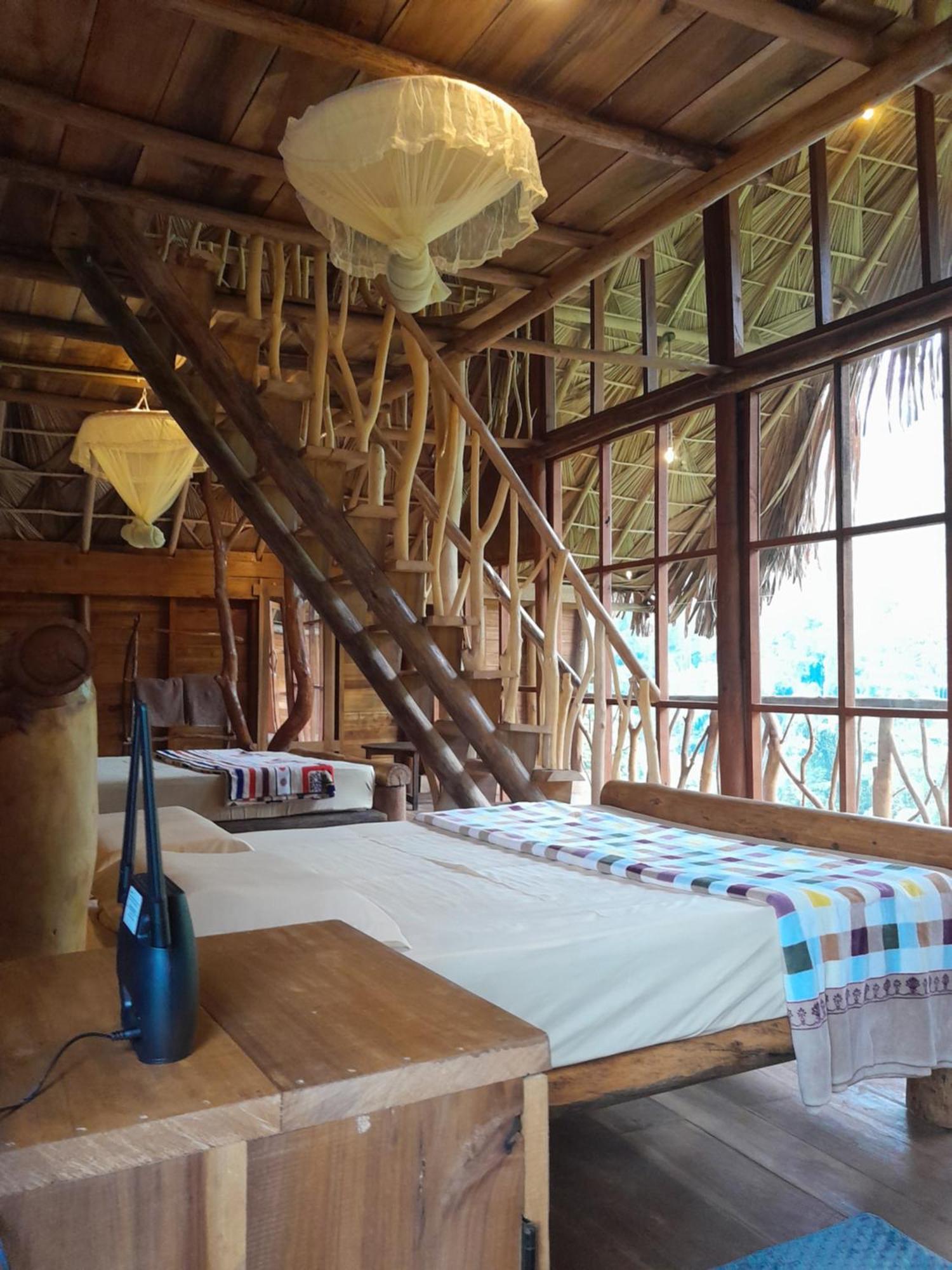 Wood Palace Ella Rom bilde